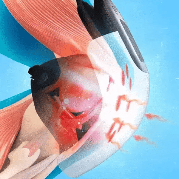 zendoza Knee Massager